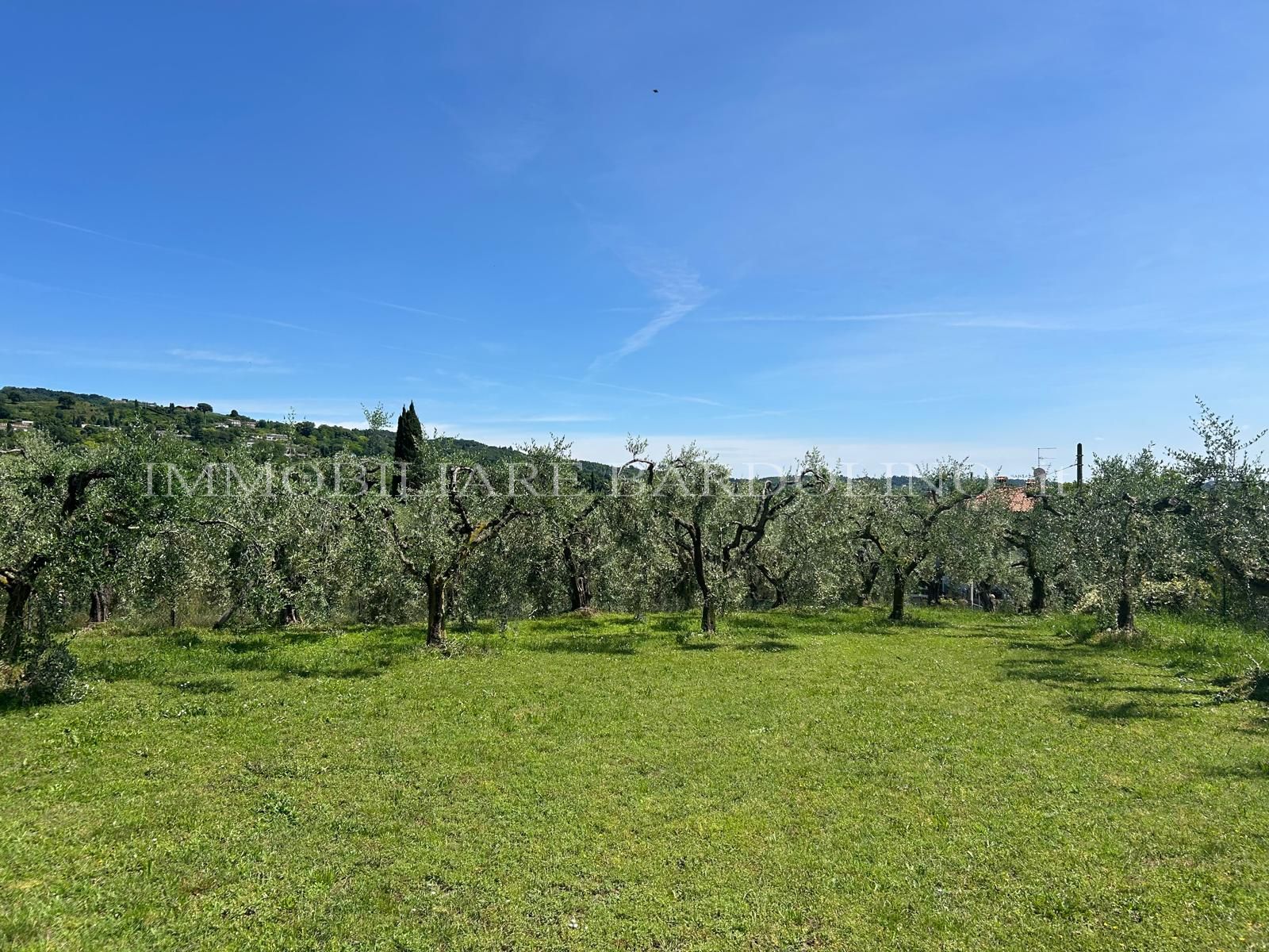 Immobiliare Bardolino è sul Lago di Garda